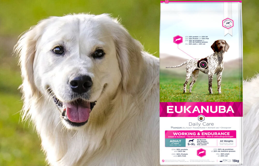Karma dla psa EUKANUBA Daily Care Working & Endurance Kurczak 15 kg dawkowanie analiza sklad