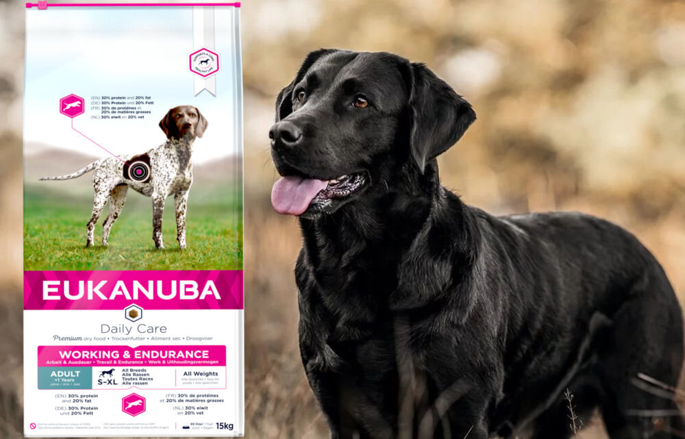 Karma dla psa EUKANUBA Daily Care Working & Endurance Kurczak 15 kg dawkowanie analiza sklad