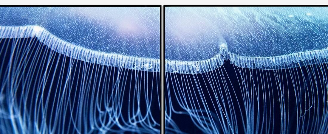 Monitor ACER HA240YAWI - HDMI 