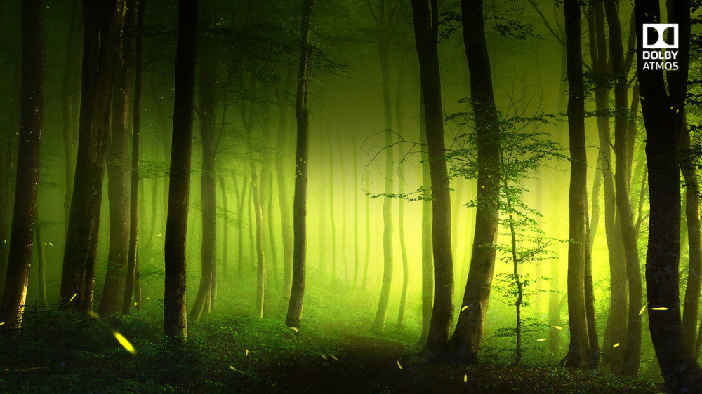 Telewizor OLED LG OLED77C8PLA - Dolby Atmos