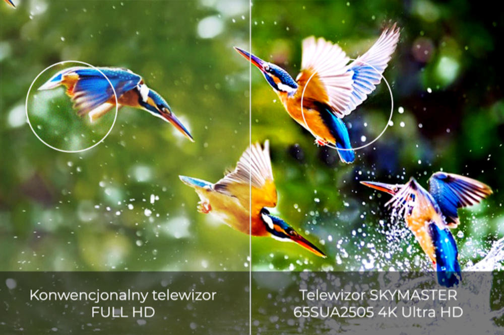 Telewizor SKYMASTER LED 65SUA2505 - Szeroka Paleta Kolorów