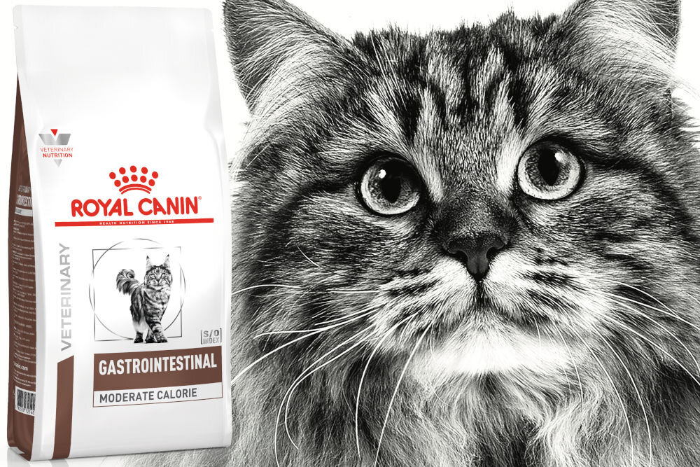 Karma dla kota ROYAL CANIN Gastrointestinal Moderate Calorie 2 kg naturalne składniki
