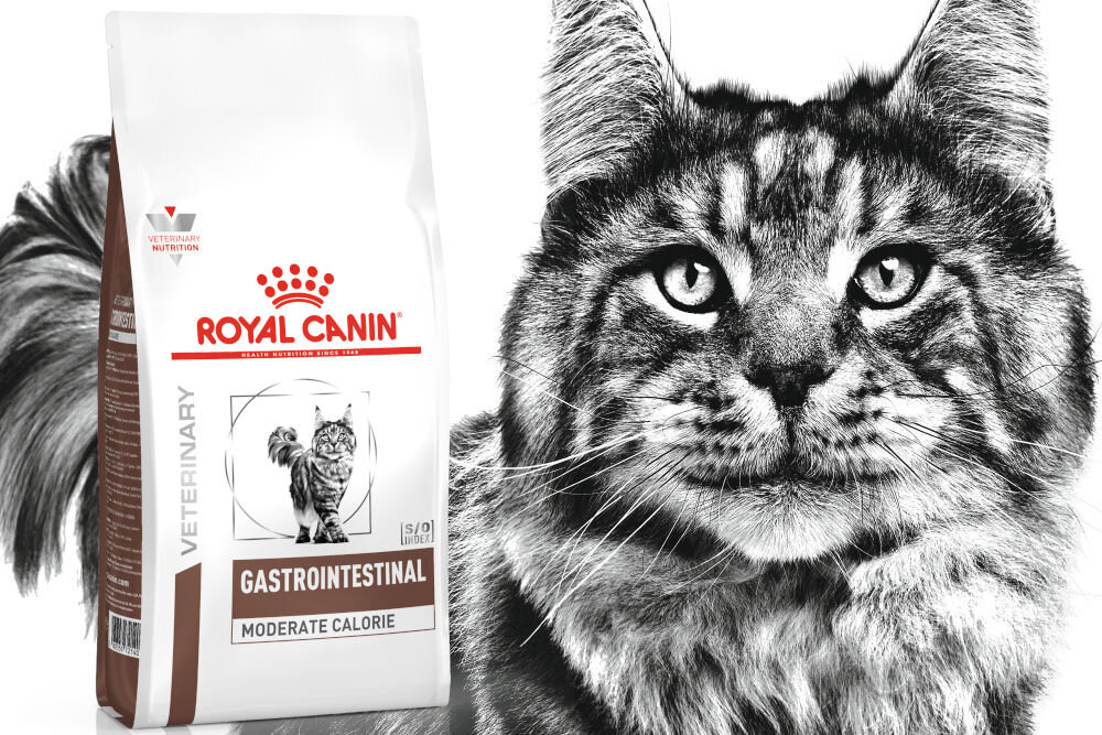 Karma dla kota ROYAL CANIN Gastrointestinal Moderate Calorie 2 kg dawkowanie analiza sklad