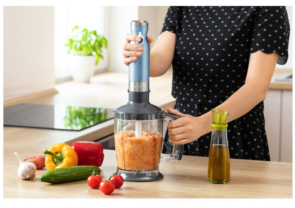 Blender kielichowy NUTRIBULLET NB606DG