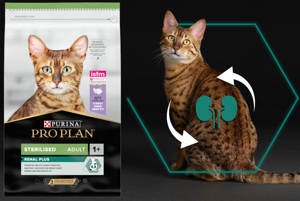 Karma dla kota PURINA Pro Plan Sterilised Renal Plus Indyk 10 kg witaminy zdrowie