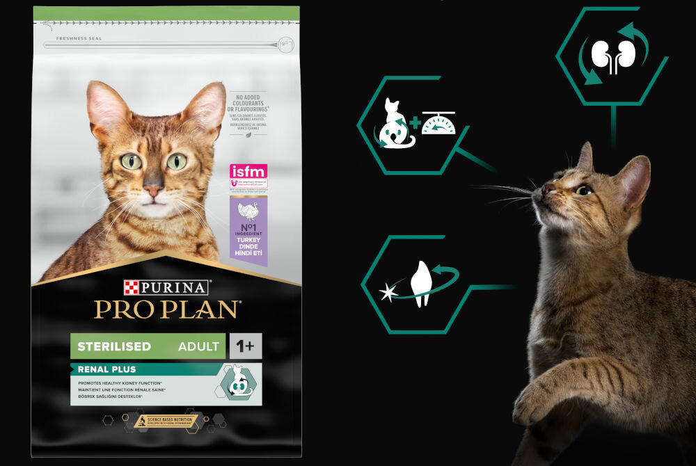 Karma dla kota PURINA Pro Plan Sterilised Renal Plus Indyk 10 kg dodatki analiza