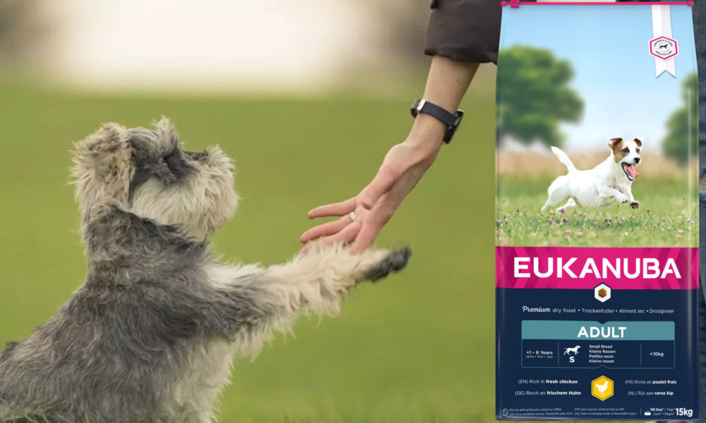 Корм для дорослих собак малих порід EUKANUBA з куркою 15 кг, дозування, аналіз складу