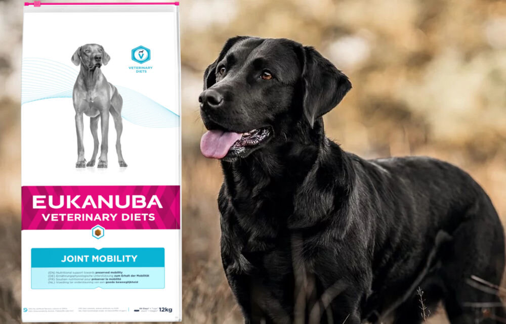 Karma dla psa EUKANUBA Veterinary Diets Joint Mobility Kurczak 12 kg dawkowanie analiza sklad