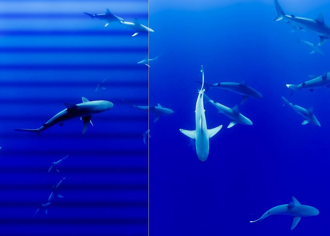 Monitor ACER B277 - VisionCare