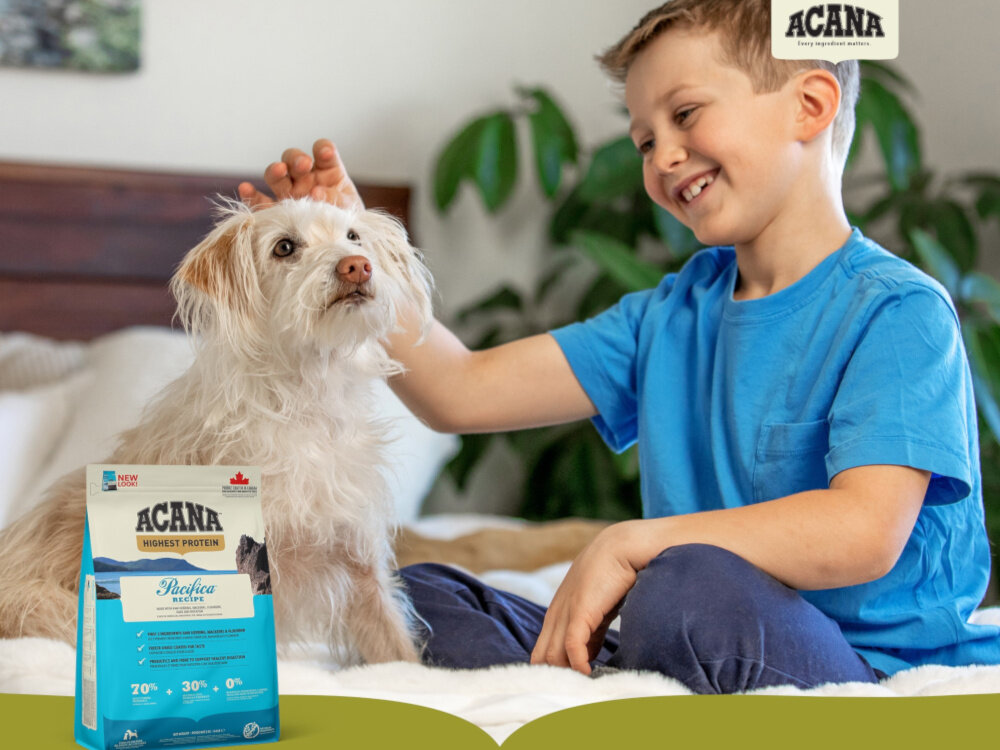 Karma dla psa ACANA Pacifica Ryba oceaniczna 11.4 kg pokój dziecko głaszcze psa obok stoi opakowanie karmy pełnowartościowe żywienie psa ryba