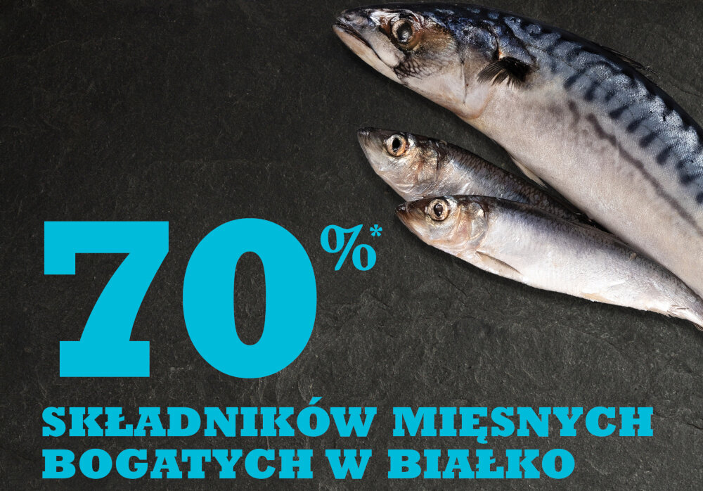 Karma dla psa ACANA Pacifica Ryba oceaniczna 11.4 kg ciemne tło miska mięsa napis 70% składników mięsnych bogatych w białko 70% mięsa i tkanek zwierzęcych 30% owoców i warzyw różnorodne ryby poławiane w zimnych wodach Pacyfiku śledź łosoś flondra morszczuk skorpena kuchnia NorthStar® wartość energetyczna 3850 kcal/kg
