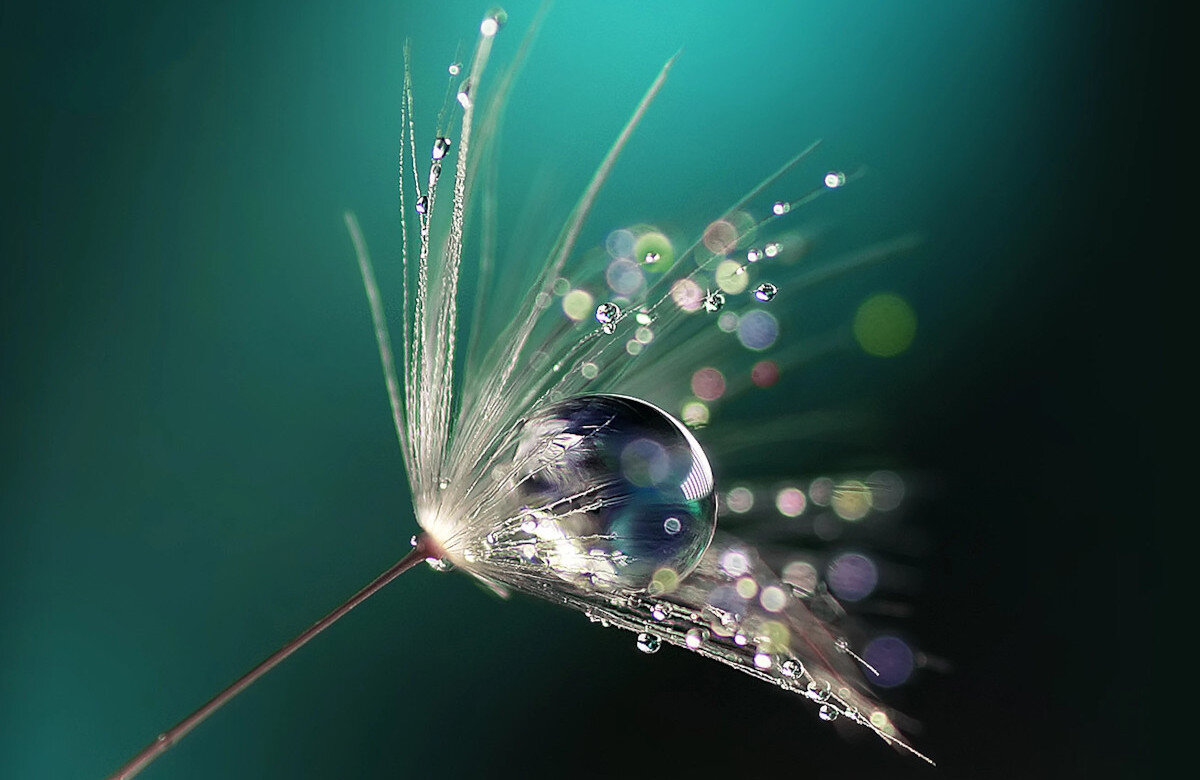 Projektor ACER S1386WHN jakość rozdzielczość kontrast matryca wielkość przekątna