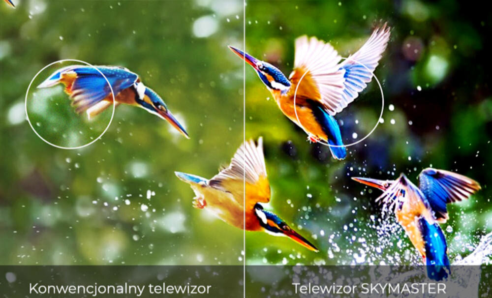 Telewizor SKYMASTER SUA2505 - obraz