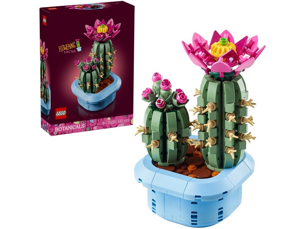 Na obrazie widoczny jest zestaw LEGO przedstawiający kwitnący kaktus w doniczce, z różowymi kwiatami na szczycie. Obok znajduje się pudełko z napisem \'FLOWERING CACTUS\', \'LEGO\', \'BOTANICALS\', \'11509\', \'482 pcs\'.