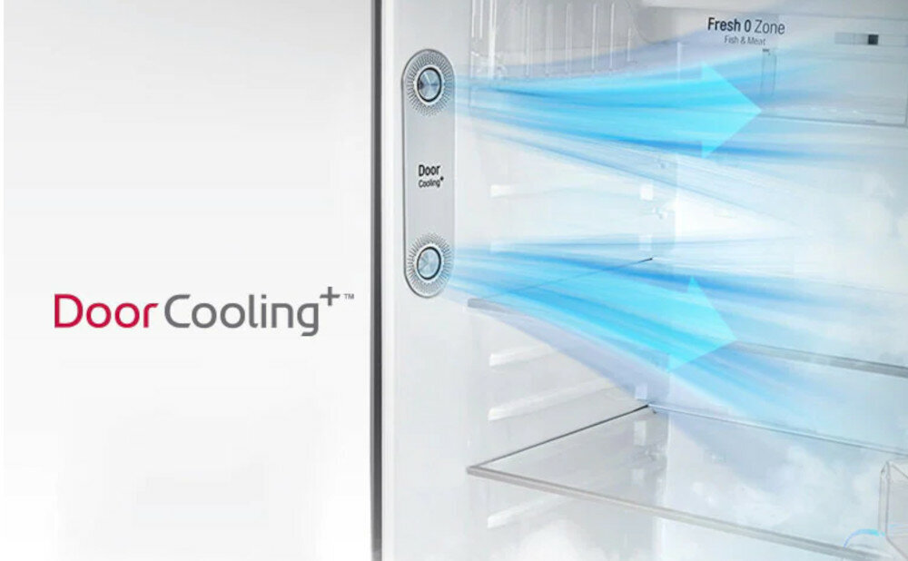 Lodowka LG GBP31SWLZN - DoorCooling