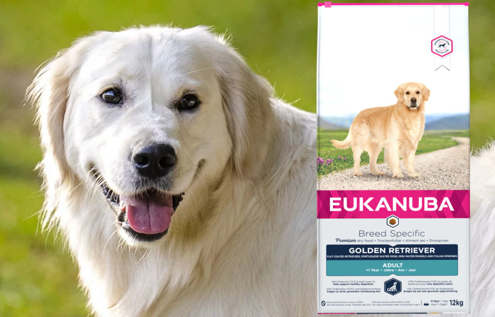 Karma dla psa EUKANUBA Breed Specific Adult Golden Retriever Kurczak 12 kg dawkowanie analiza sklad