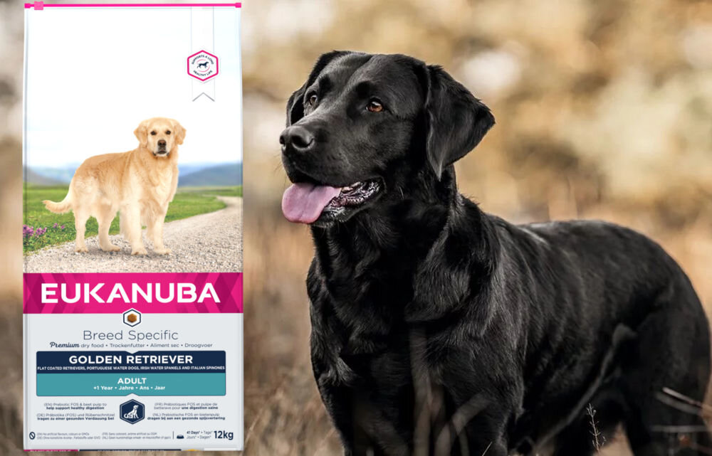 Karma dla psa EUKANUBA Breed Specific Adult Golden Retriever Kurczak 12 kg dawkowanie analiza sklad