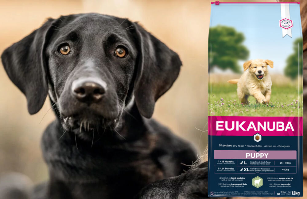 Karma dla psa EUKANUBA Puppy & Junior Jagnięcina z ryżem 12 kg dawkowanie analiza sklad