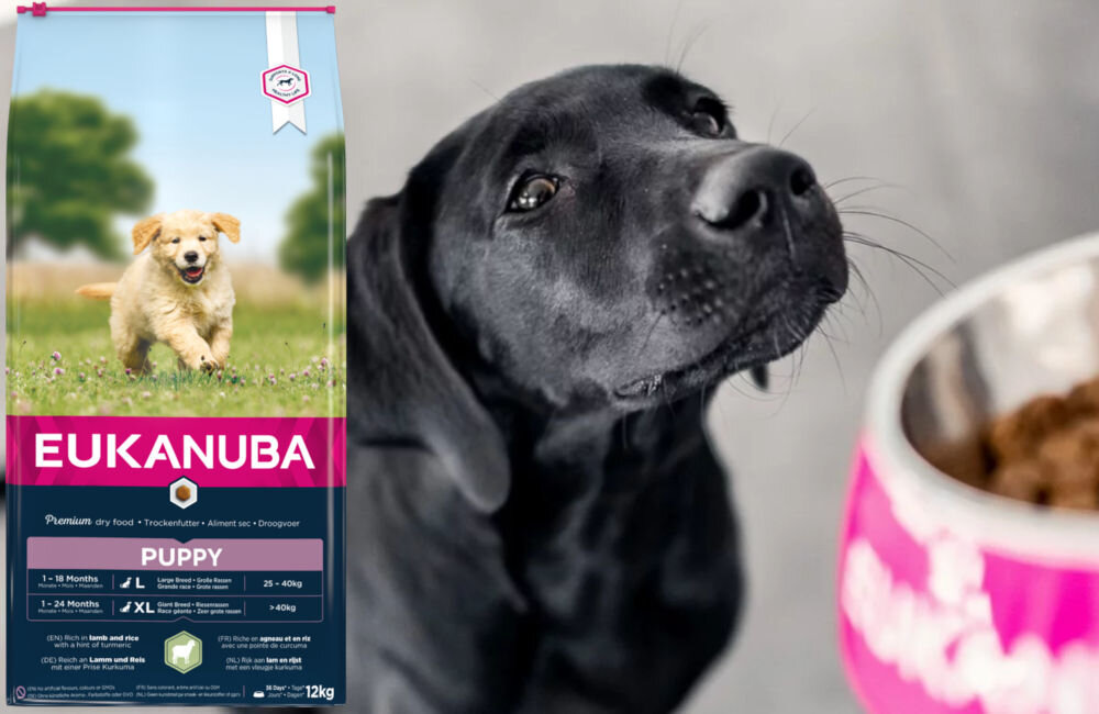 Karma dla psa EUKANUBA Puppy & Junior Jagnięcina z ryżem 12 kg dawkowanie analiza sklad