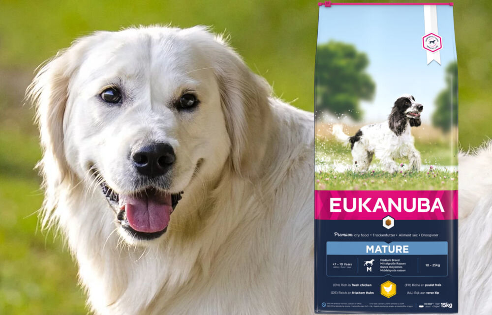 Karma dla psa EUKANUBA Mature Medium Breeds Kurczak 15 kg dawkowanie analiza sklad