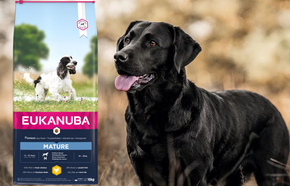 Karma dla psa EUKANUBA Mature Medium Breeds Kurczak 15 kg dawkowanie analiza sklad