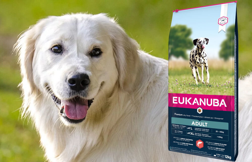 Karma dla psa EUKANUBA Adult Large Breeds Adult Łosoś z jęczmieniem 12 kg dawkowanie analiza sklad