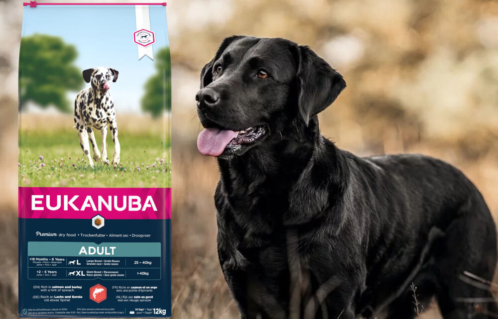 Karma dla psa EUKANUBA Adult Large Breeds Adult Łosoś z jęczmieniem 12 kg dawkowanie analiza sklad