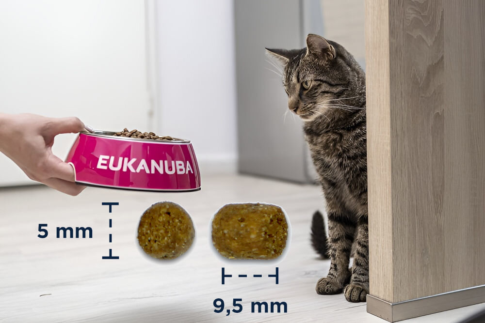 Karma dla kota EUKANUBA Dla Starszych Kotów Kurczak 10 kg naturalne składniki wielkość krokietów