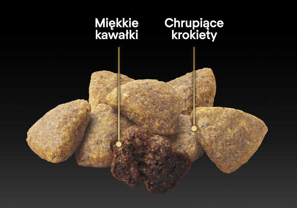 Karma dla psa PURINA Pro Plan Duo Delice Adult Wołowina i ryż 10 kg witaminy zdrowie