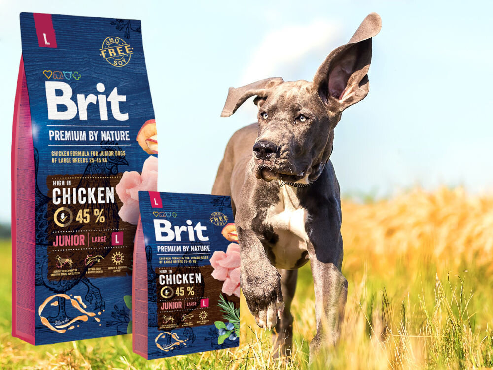 Karma dla psa BRIT Premium by Nature Junior Kurczak 8 kg zdrowie mobilnosc odpornosc kondycja