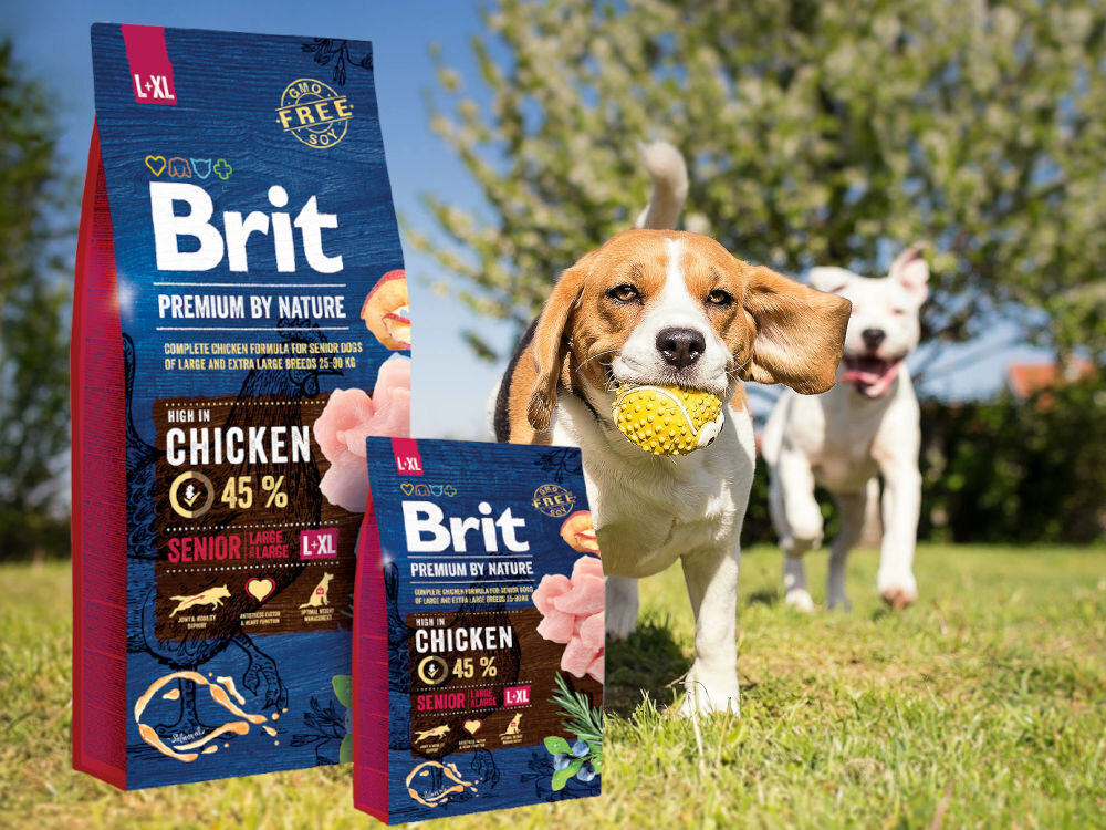 Корм для собак BRIT Premium By Nature Senior Chicken 15 кг склад харчування
