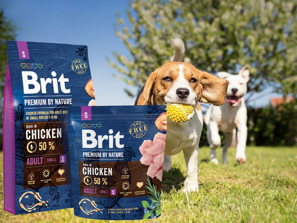 Karma dla psa BRIT Premium By Nature Kurczak 8 kg zdrowie mobilnosc odpornosc kondycja