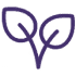 ikonka