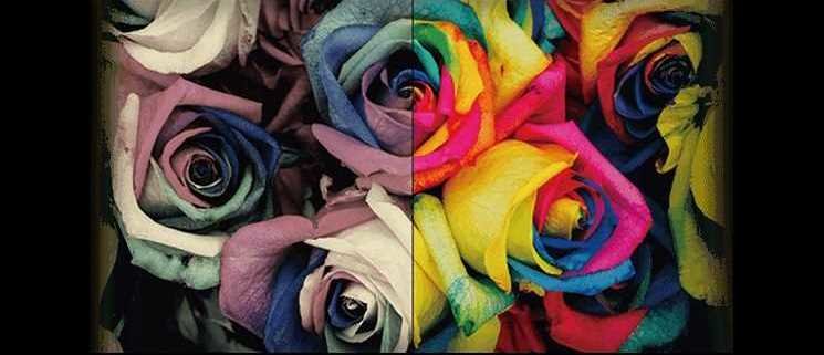 Laptop Gamingowy MSI GE75 RAIDER - True Color