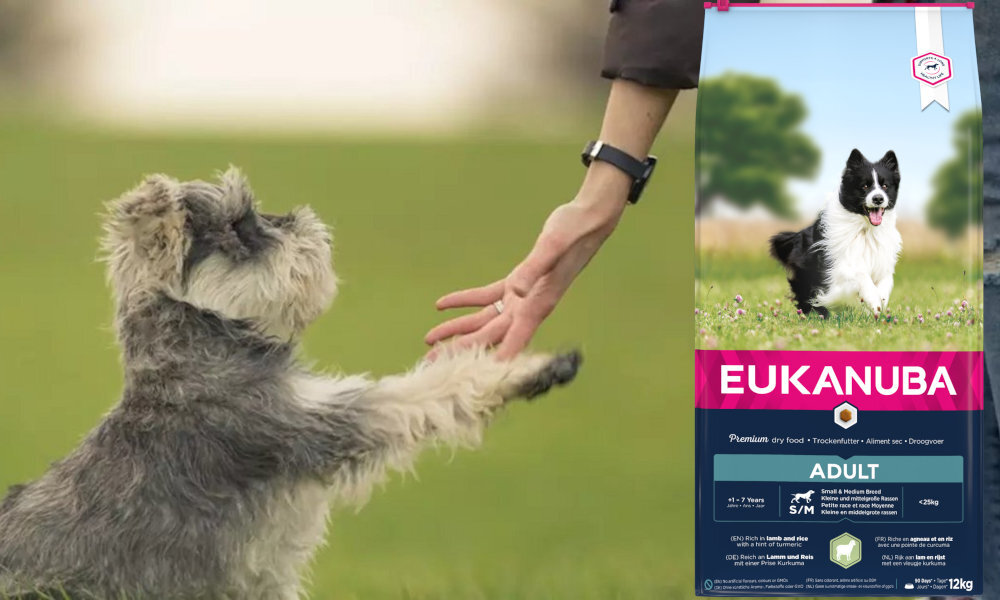 Karma dla psa EUKANUBA Adult Small and Medium Breeds Lamb 12 kg dawkowanie analiza sklad