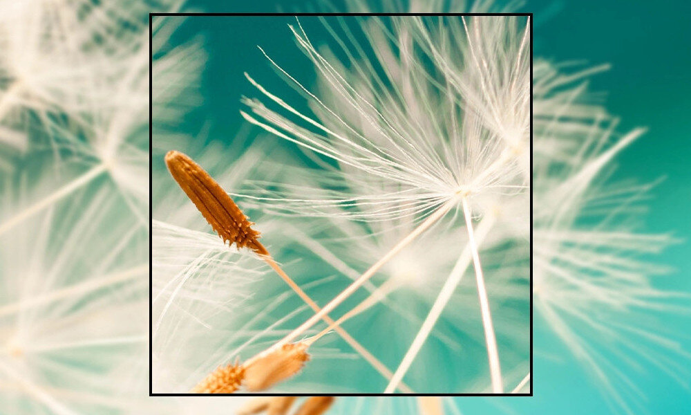 Projektor ACER UL6200 obraz rozdzielczość wielkość przekątna kontrast