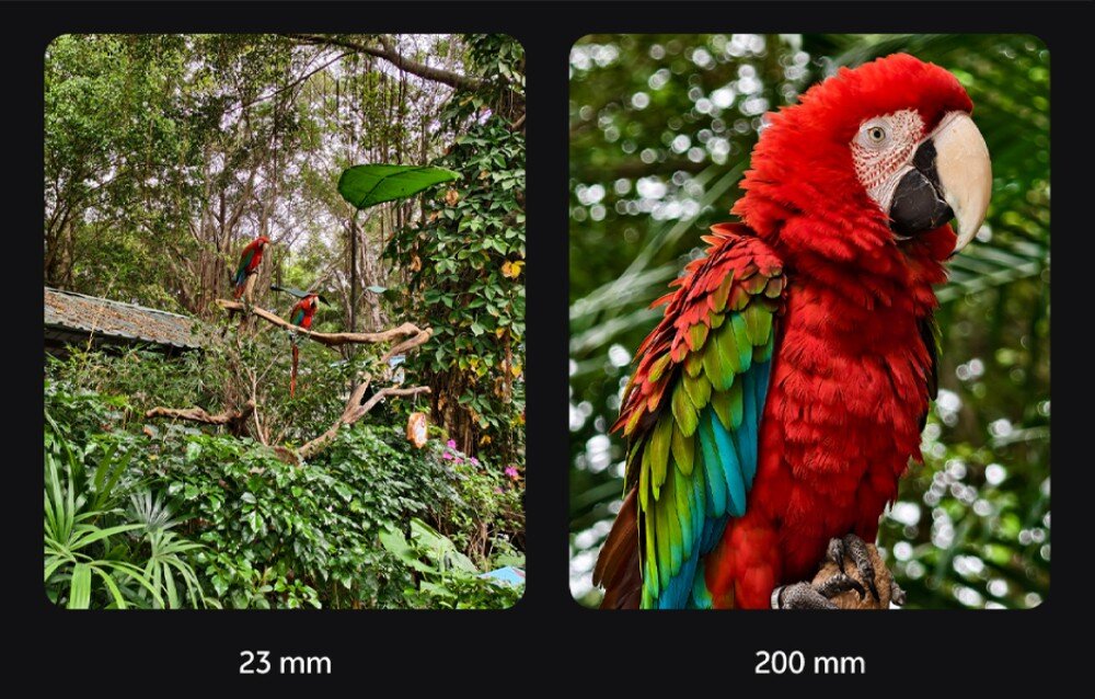 Telekonwerter VIVO Zeiss 200 mm Gen 2 do X500/X Fold6 /X300 Ultra Porównanie dwóch zdjęć - po lewej szeroki kadr z papugami na gałęziach (23 mm), po prawej zbliżenie na opierzenie czerwonej papugi (200 mm)