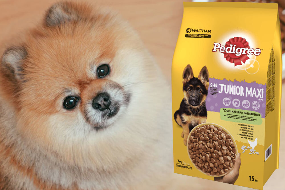 Karma dla psa PEDIGREE Junior Kurczak 15 kg dawkowanie analiza sklad