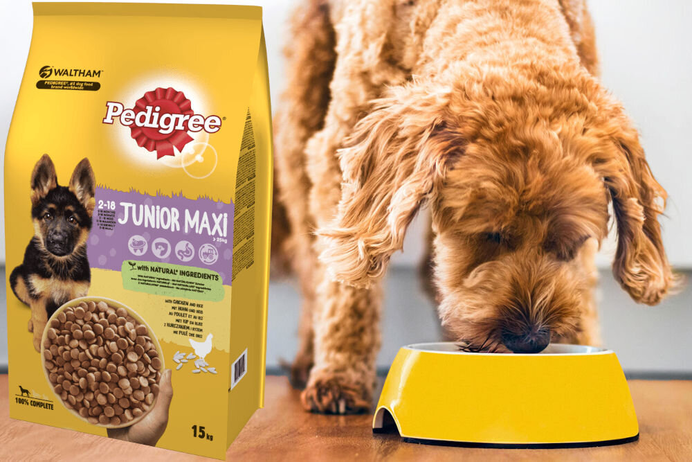 Karma dla psa PEDIGREE Junior Kurczak 15 kg witaminy pierwiastki aminokwasy