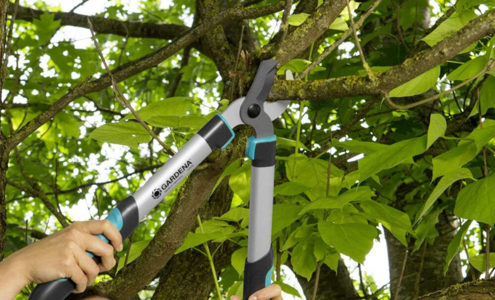 Sekator ręczny GARDENA EasyCut 500 B ogród drzewo osoba przycina gałąź na drzewie dwuostrzowy system cięcia równomierne działanie gładka powierzchnia cięcia precyzyjnie szlifowane ostrze ze stali powłoka NonStick Extra