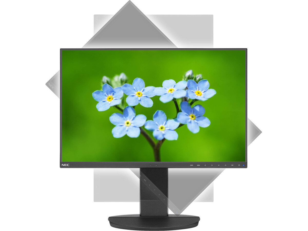 Monitor NEC MultiSync EA241F regulacja polozenia