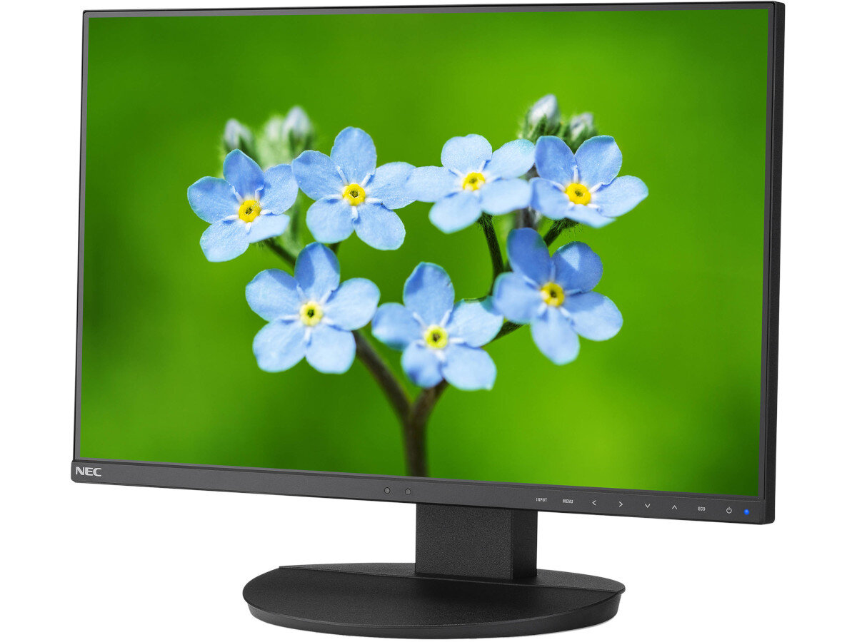 Monitor NEC MultiSync EA241F ochrona wzroku