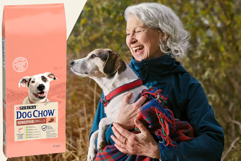 Karma dla psa PURINA Dog Chow Sensitive z Łososiem 14 kg sklad analiza