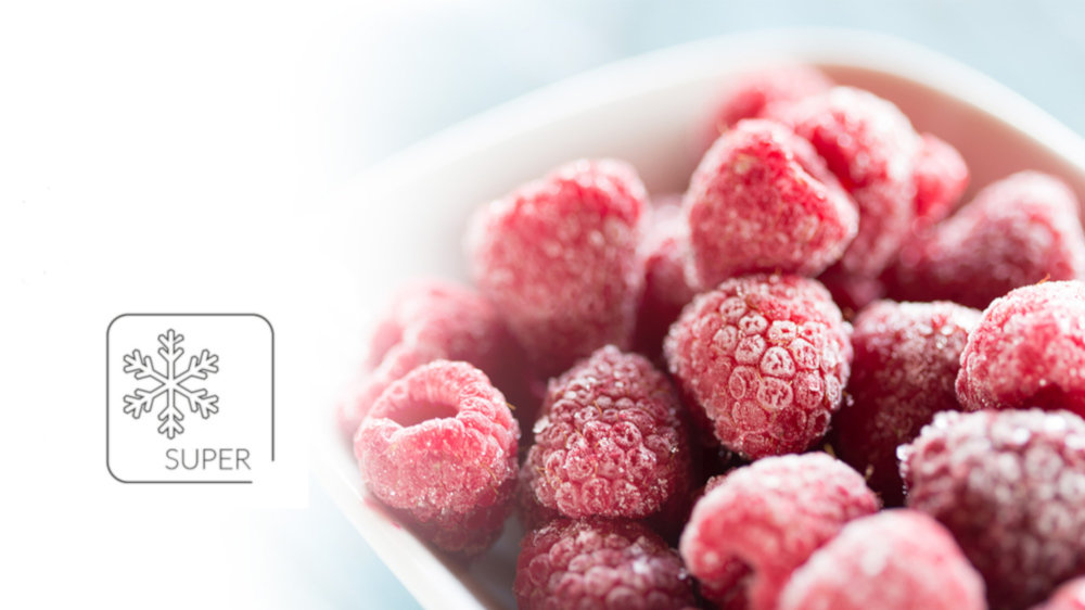 Lodówka Wolnostojąca MPM 381-FF-25 - Szybkie Zamrażanie