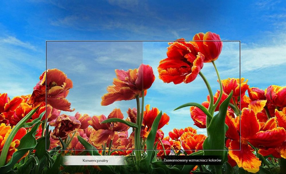 Telewizor LG LED 43LM6300PLA dynamiczny obraz wzmocnione kolory