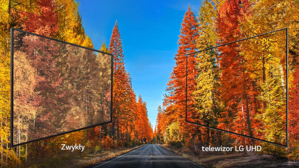 Telewizor LG UM7660PLA  - szeroki kąt