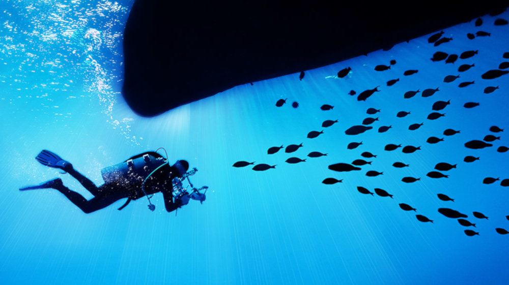 Telewizor LG OLED65W9PLA - Czerń