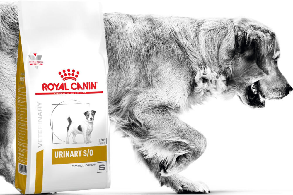 Karma dla psa ROYAL CANIN Urinary S/O 13 kg dawkowanie analiza sklad