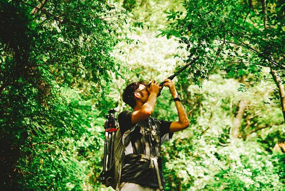 Fotografowanie przyrody obiektywem Venus Optics Laowa Probe 24 mm f/14 Macro 2:1