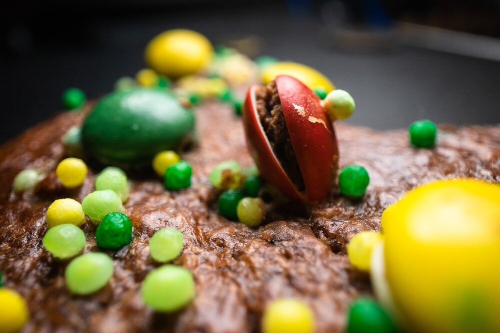 Zdjęcie makro wykonane obiektywem Venus Optics Laowa Probe 24 mm f/14 Macro 2:1